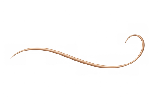 Metallic rose gold swirl creating luxurious curved pattern, floating against transparent backdrop with refined graphic aesthetic - Powered by Adobe