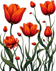 Vibrant Red and Orange Tulip Floral Illustration with Transparent Background Showcasing Detailed Petals and Green Foliage for Decorative Botanical Designs