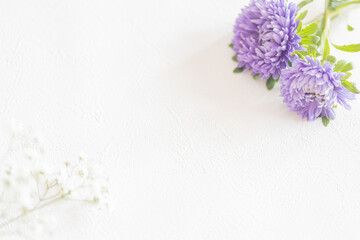 ブルーベリーと紫色の花のフレーム