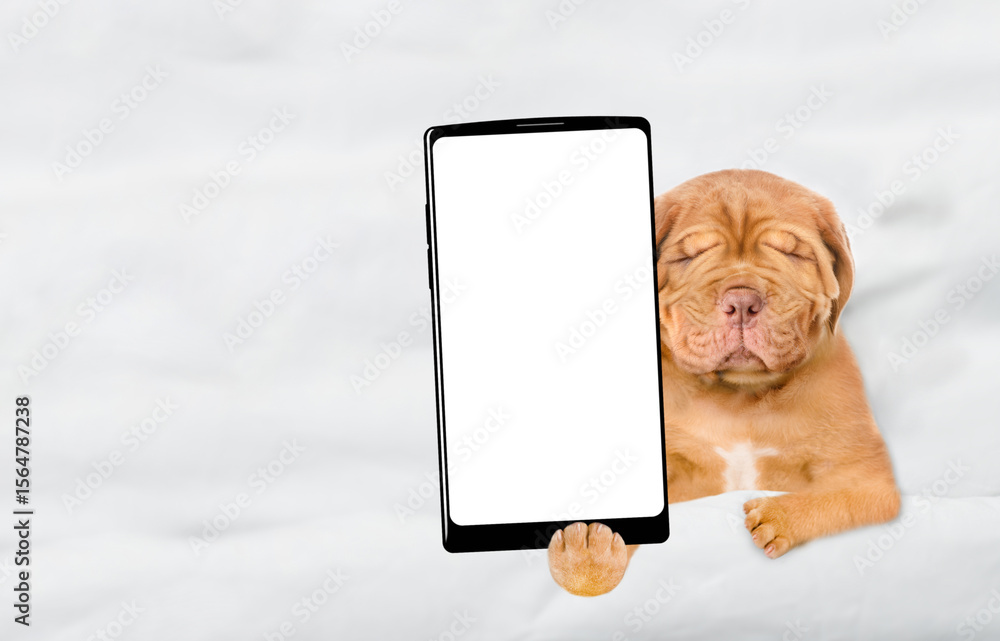 Aufkleber Sleepy Mastiff puppy lying on a bed at home and showing big smartphone with white blank screen in it paw. Top down view. Empty space for text