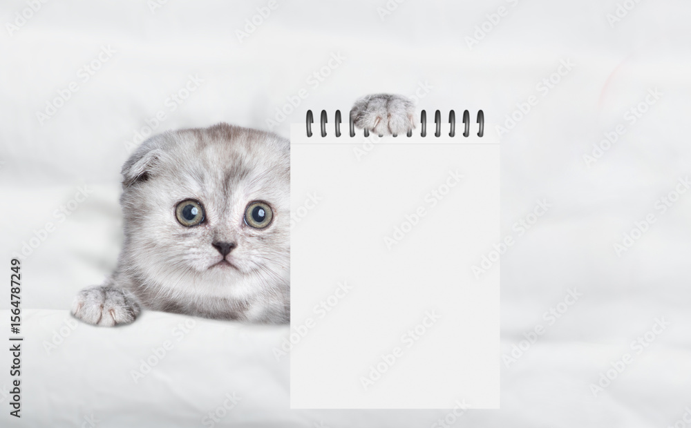Poster Cute kitten relaxing on a bed and showing blank notepad. Top down view. Empty space for text