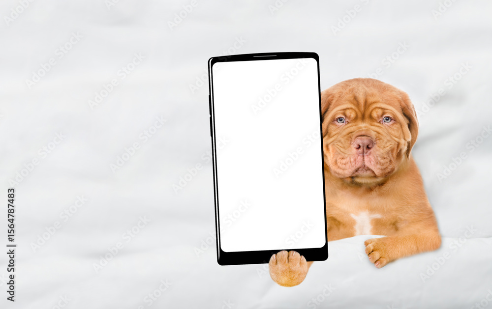 Aufkleber Sleepy Mastiff puppy lying on a bed at home and showing big smartphone with white blank screen in it paw. Top down view. Empty space for text