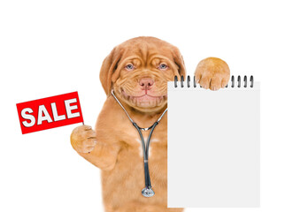 Smiling puppy dressed like a doctor with stethoscope showing blank notebook and holding signboard...