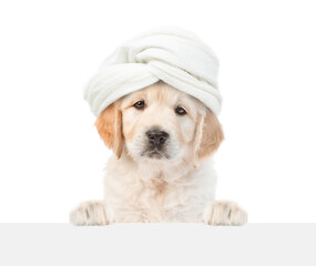 Cute golden retriever puppy with towel on it head looking above blank white banner. isolated on...