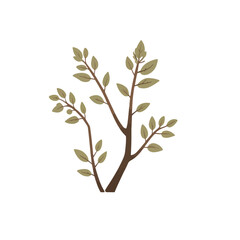 Obraz premium branch of a tree