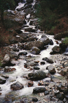 Har Ki Dhun trek, Garhwal, Gangotri, Uttaranchal, India
