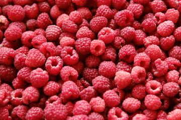 Sweet raspberry background. Full frame of fresh raspberries. Red ripe berry photo wallpaper...
