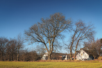 Rustic landscape in Denmark with trees and a traditional house under blue sky