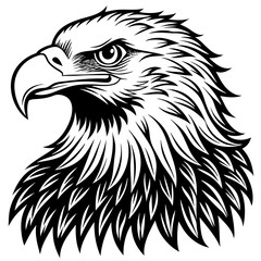Powerful Bald Eagle Head Profile Black and White Vector Illustration Strong Majestic Bird Graphic Design