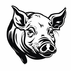 Engraved illustration of a pig head in detailed vector style showcasing animal characteristics and expression.

