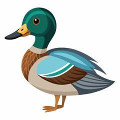 Friendly Cartoon Mallard Duck Illustration Childrens Book Nature Wildlife