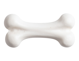 Close-Up of White Bone with Textured Surface on White Background Isolated PNG