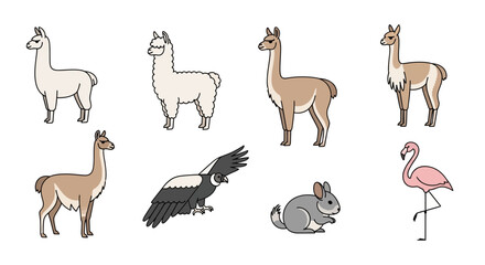 Fototapeta premium Vector illustration of south american animals llama guanaco andean condor chinchilla flamingo wildlife art drawing