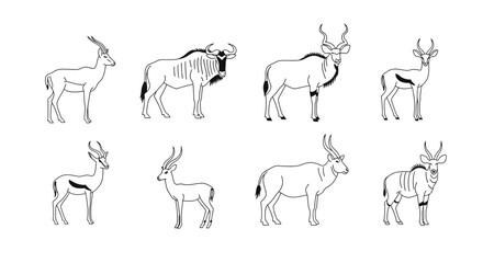 Vector antelope species line art vector illustration featuring kudu springbok and wildebeest outline graphics design