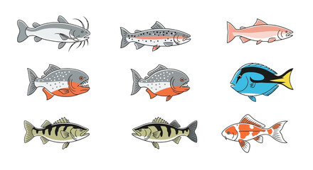 Vector illustration of diverse fish species catfish trout piranha tang perch and koi fish aquatic life drawing