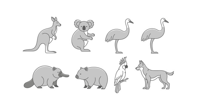 Vector australian wildlife animals vector illustration featuring kangaroo koala emu platypus wombat cockatoo and dingo
