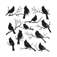 Fototapeta premium Cardinal Birds Silhouettes Set Clipart on White Background