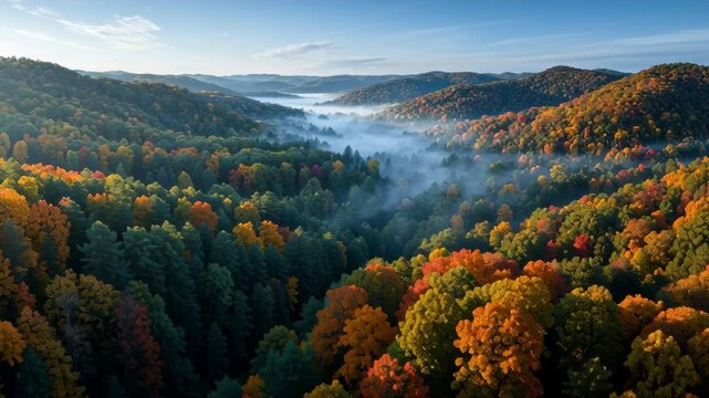 aerial drone view, expansive autumn forest canopy with patches of golden, red, and orange trees, morning mist, clear blue sky, epic scale, high resolution, natural beauty, pristine wilderness