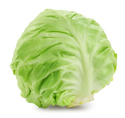 One whole fresh cabbage isolated on white