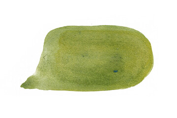 Watercolor green speech bubbles on transparent background. Hand-drawn, eco-friendly style for packaging, labels, chat design, branding, social icons.