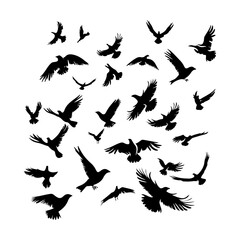 Obraz premium Flock Flying Birds Black Set Clipart White Background