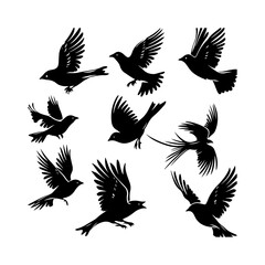 Obraz premium Flying Hawk Bird Black Silhouette Clipart