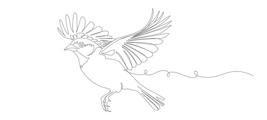 Obraz premium flying bird continuous line vector design