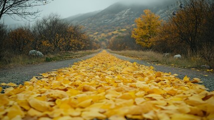 Serene autumn forest road with golden leaves and mist evokes seasonal travel, tranquility, and connection to nature