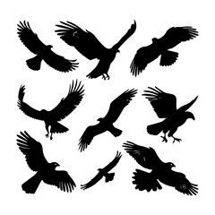 Fototapeta premium Hawk Bird Flying Silhouettes Set Clipart White Background