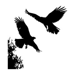 Obraz premium Hawk Bird Flying Silhouettes Set Clipart White Background