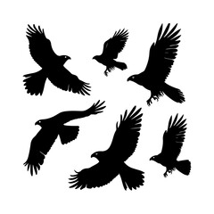 Hawk Bird Flying Silhouettes Set Clipart White Background