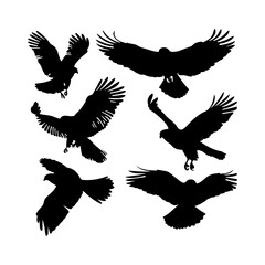 Obraz premium Hawk Bird Outline Silhouettes Set Clipart