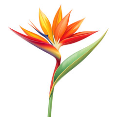 A striking bird of paradise flower, isolated on transparent background, showcasing its vibrant orange and yellow petals