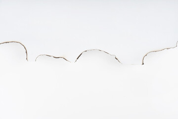 White burnt paper. burnt paper edges close up. abstract. split background