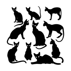 Elegant Peterbald Cat Silhouettes Clipart