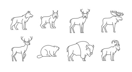 Vector wildlife animals line art vector illustration featuring wolf lynx deer moose beaver bison and mountain goat set