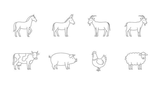 Vector farm animals line art vector illustration set featuring horse donkey goat cow pig chicken and sheep isolated on white