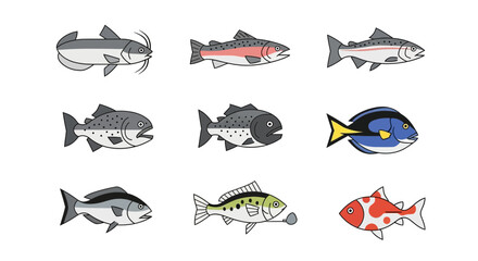 Vector collection of different types of fish vector illustration for education and design projects use 100