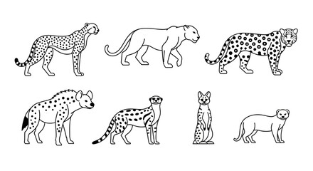Vector vector illustration of african wildlife animals cheetah leopard hyena meerkat serval and weasel outline art