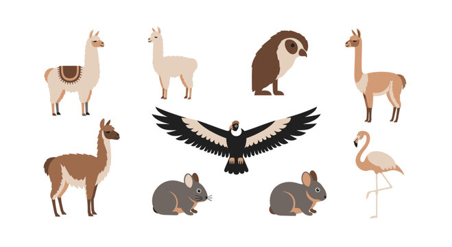 Vector illustration of south american animals llama condor flamingo owl andean rabbit wildlife vector design