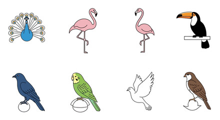 Vector illustration of various bird species including peacock flamingo toucan crow parakeet dove and sparrow drawing
