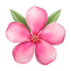A vibrant pink oleander flower with green leaves isolated on transparent background