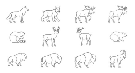 Vector line art illustration of wildlife animals including wolf lynx moose deer beaver bison and goat drawing vector