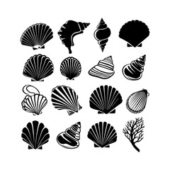 Set of Seashell Silhouettes Clam Clipart White Background