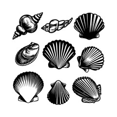 Set of Seashell Silhouettes Clam Clipart White Background