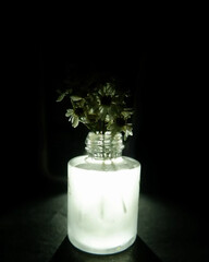 Glow in the dark glass vase
A frosted glass vase with white light shining from inside, containing small white flowers (like daisies), on a solid black background.