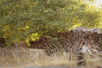 wooden beams, wooden logs, wood texture, wood grain, wood surface
