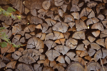 wooden beams, wooden logs, wood texture, wood grain, wood surface