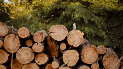wooden beams, wooden logs, wood texture, wood grain, wood surface