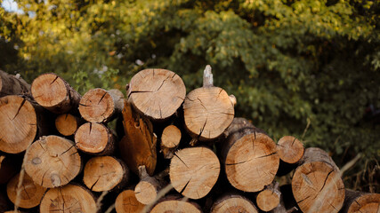 wooden beams, wooden logs, wood texture, wood grain, wood surface